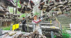 起色呈现正在2021